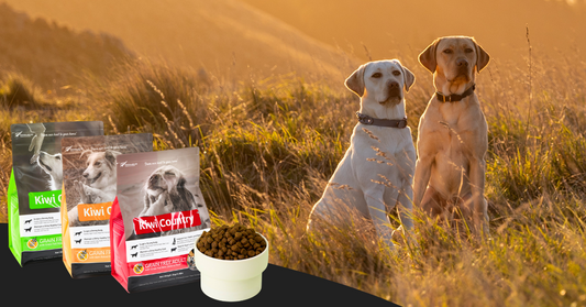 Functional Superfoods & Mixed Feeding
