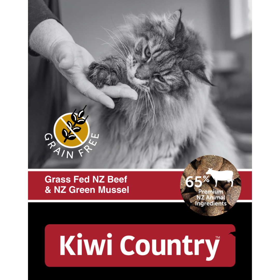 1 kg Bag Dry Cat - Beef