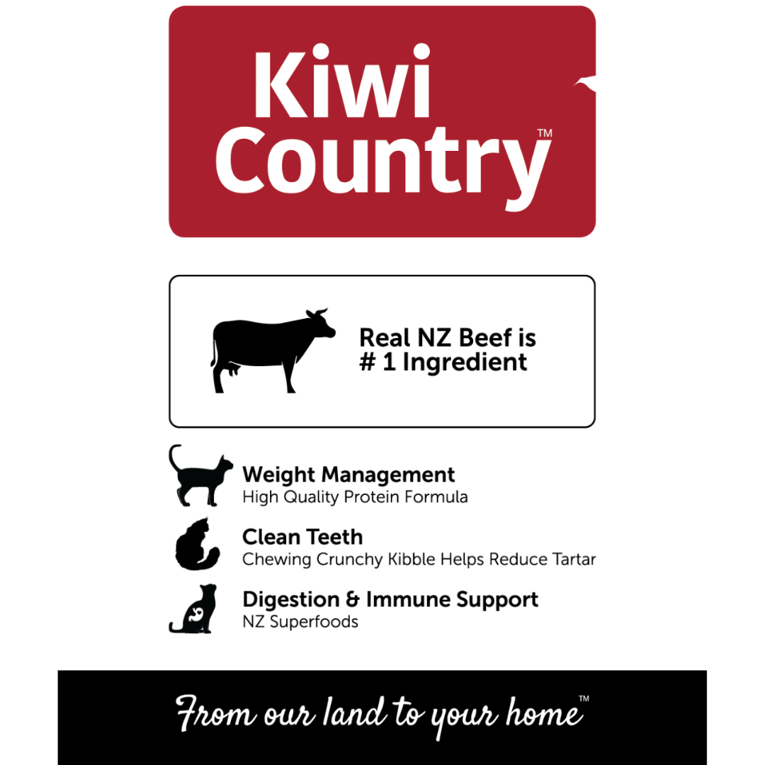 1 kg Bag Dry Cat - Beef