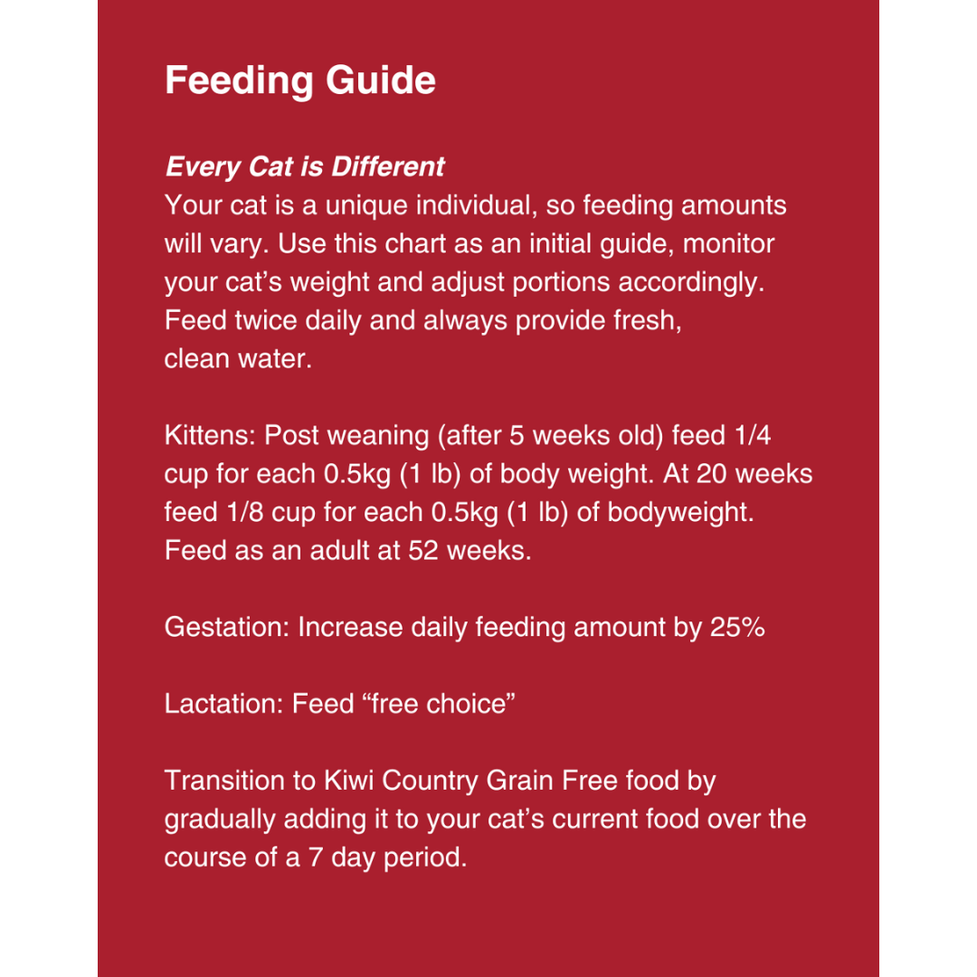 1 kg Bag Dry Cat - Beef