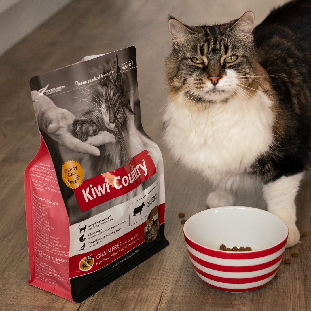 1 kg Bag Dry Cat - Beef