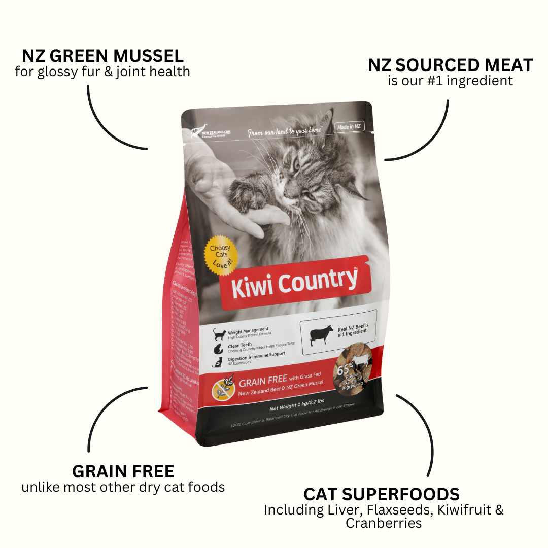 1 kg Bag Dry Cat - Beef