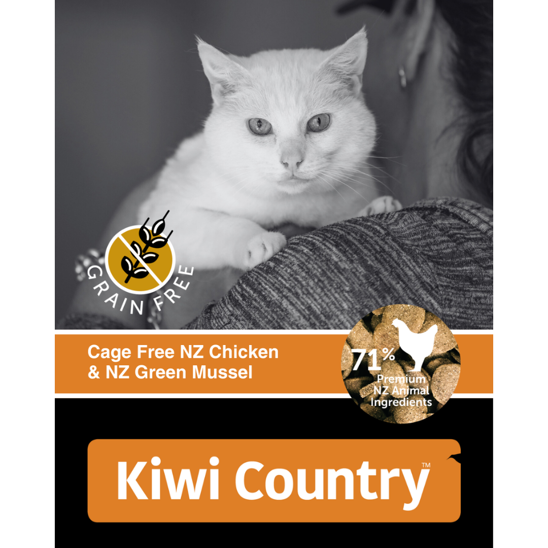 1 kg Bag Dry Cat - Chicken