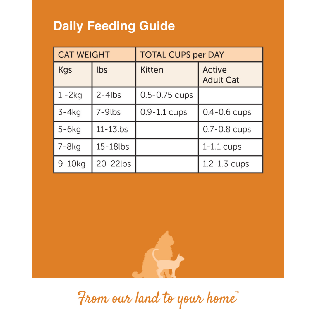 1 kg Bag Dry Cat - Chicken