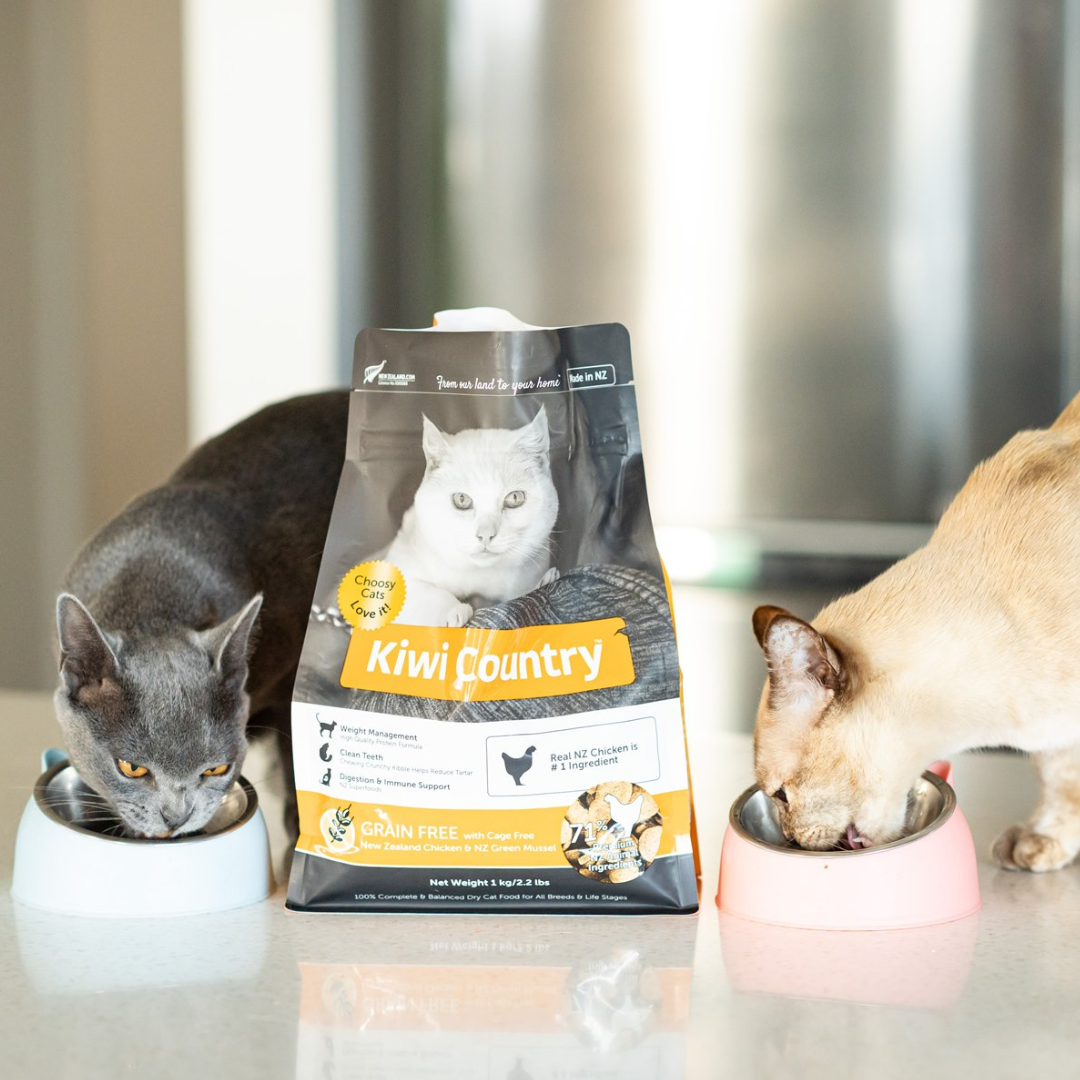 1 kg Bag Dry Cat - Chicken
