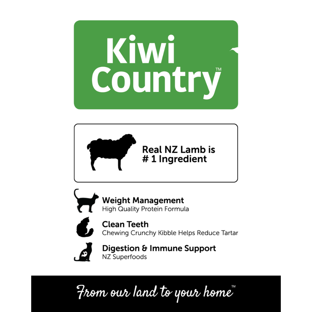 1 kg Bag Dry Cat - Lamb
