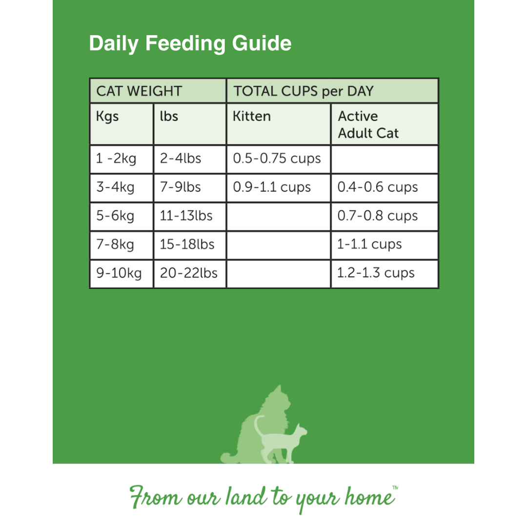 1 kg Bag Dry Cat - Lamb