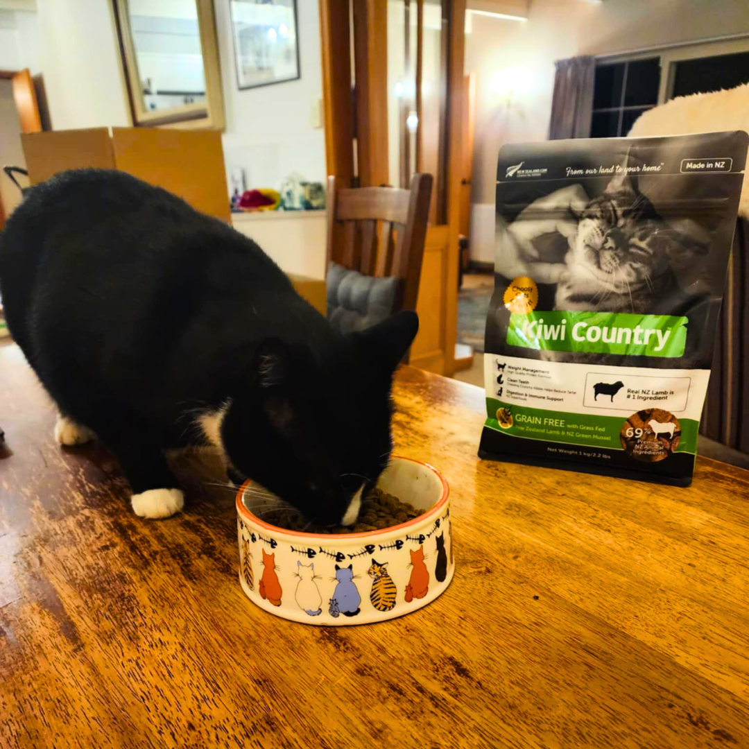 1 kg Bag Dry Cat - Lamb