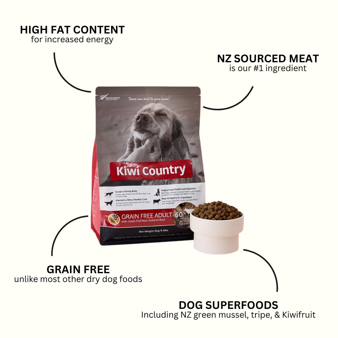 2kg Dry Dog - Beef