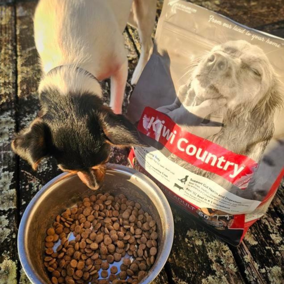 Kiwi Country Carton - Beef