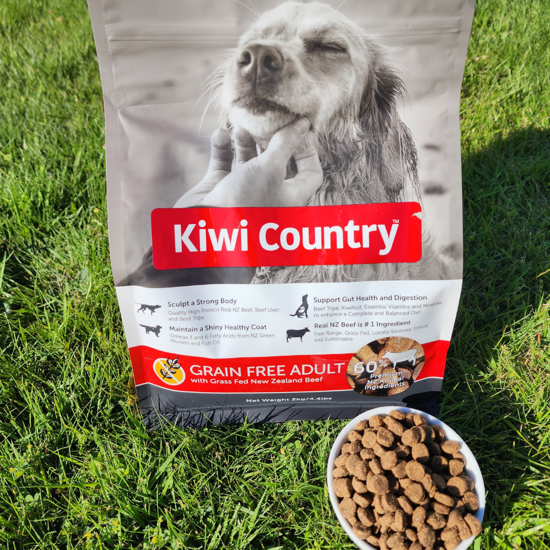 2kg Dry Dog - Beef