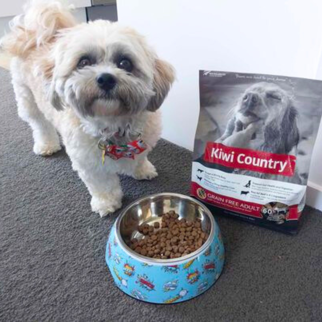 2kg Dry Dog - Beef