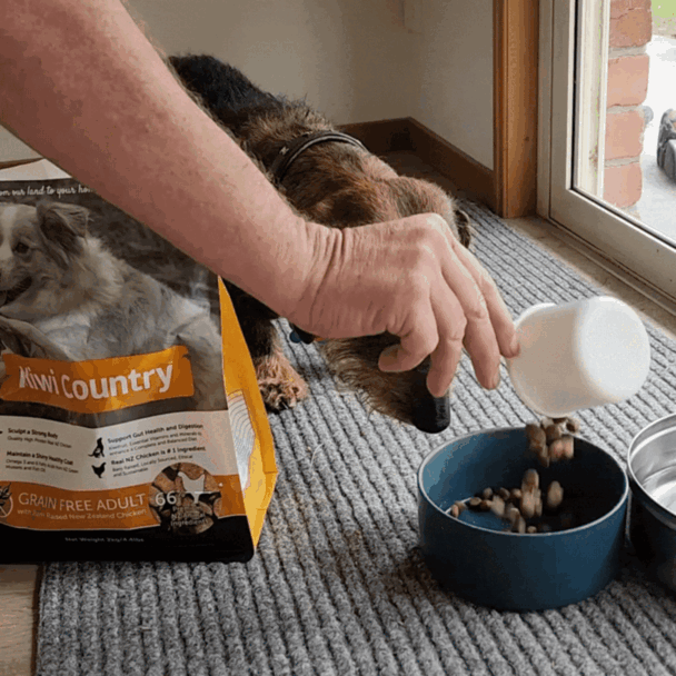 Kiwi Country Carton - Chicken