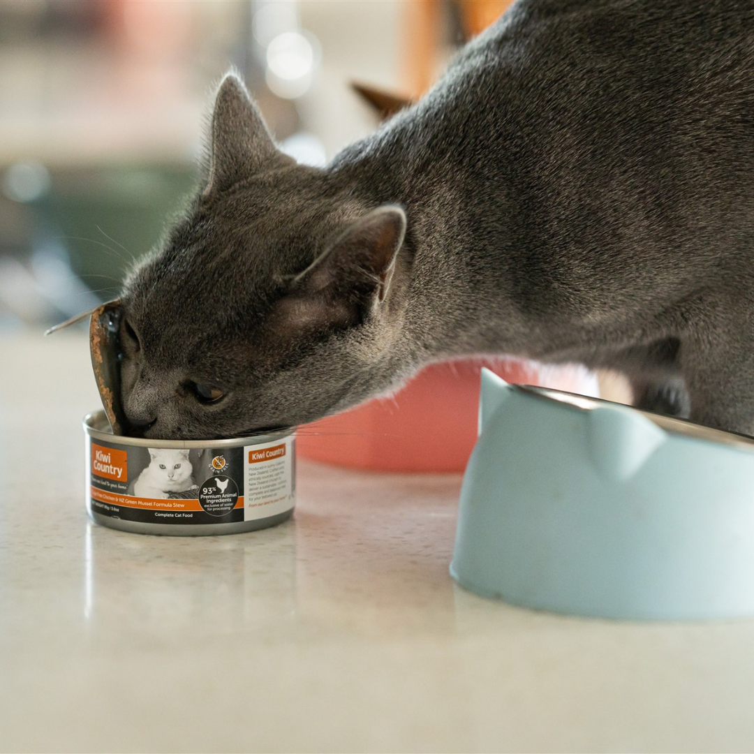 85gm Can Wet Cat - Mixed Six