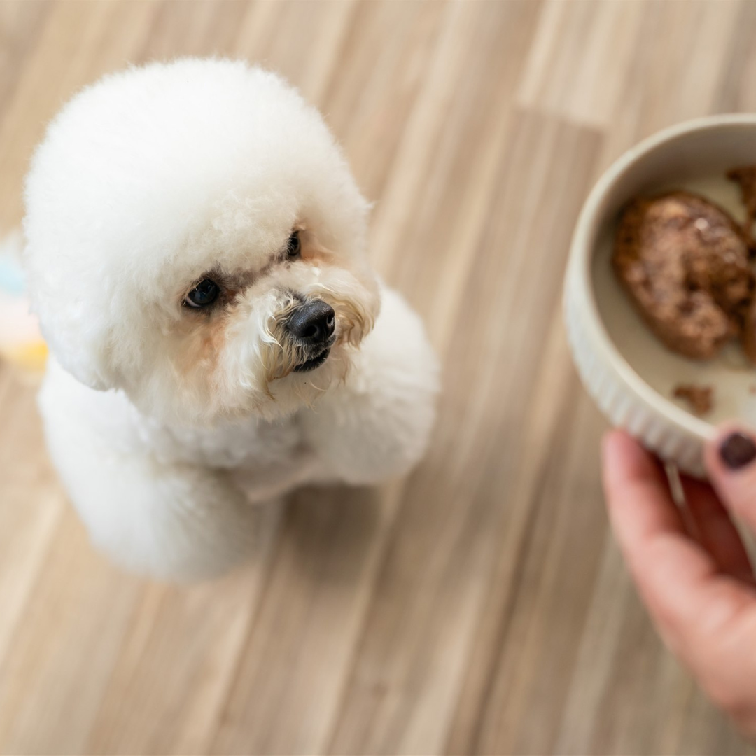170gm Wet Dog Can - Beef