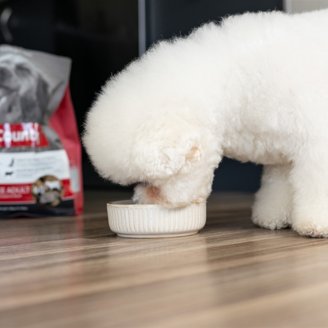 170gm Wet Dog Can - Beef