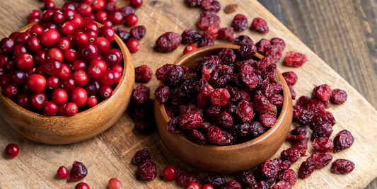 Cranberries: A powerful superfood for your dog