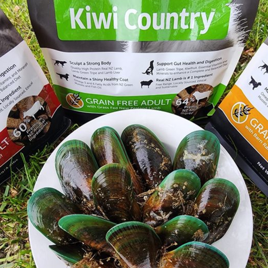 NZ Green Mussels for Strong Healthy Joints